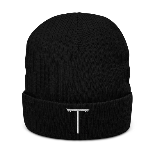 Totality Beanie